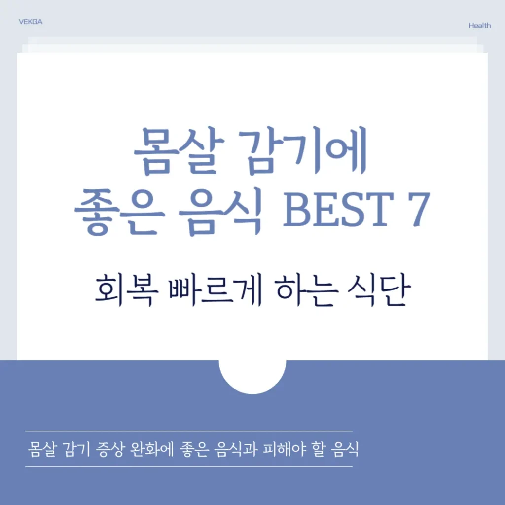 몸살 감기에 좋은 음식
