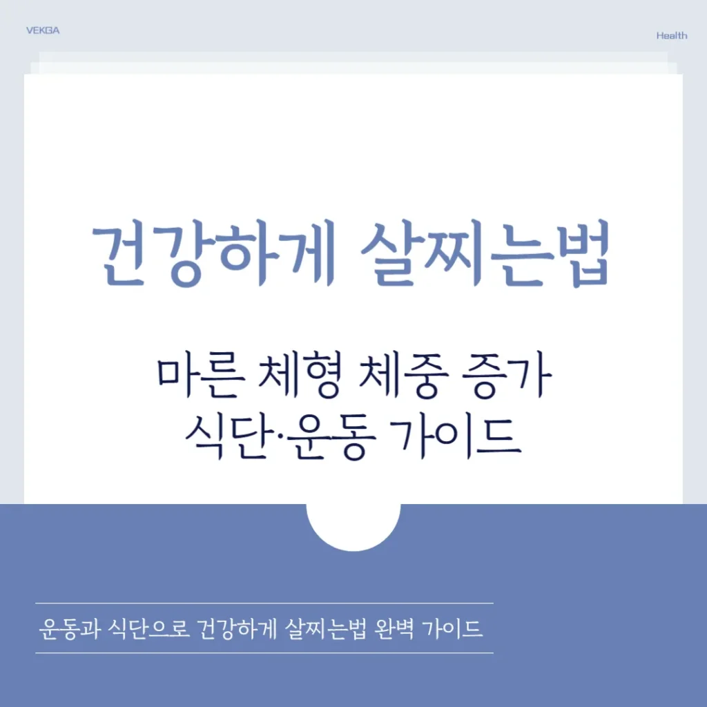 건강하게 살찌는법