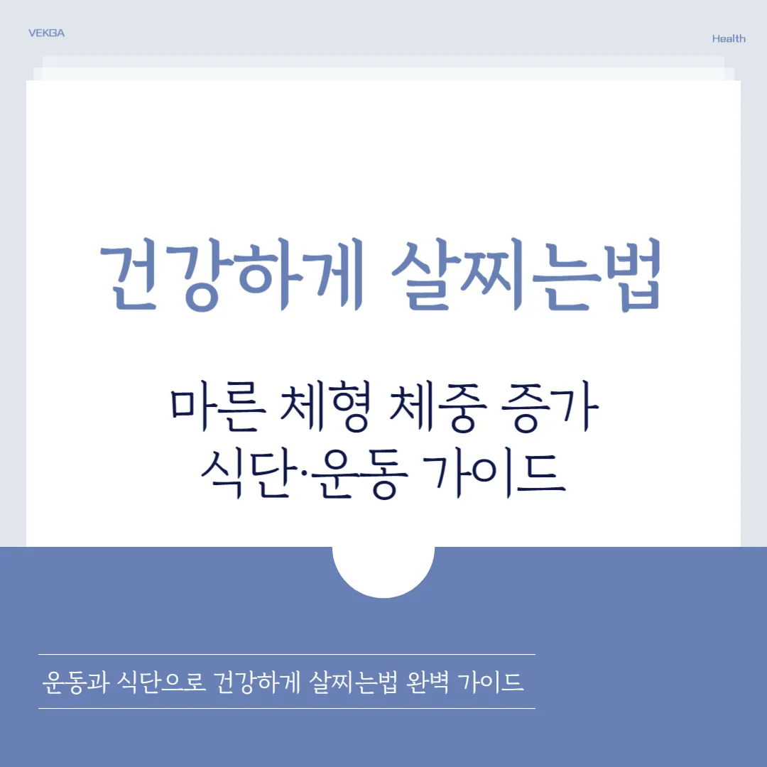 건강하게 살찌는법｜마른 체형도 안전하게 체중 늘리는 현실적인 방법