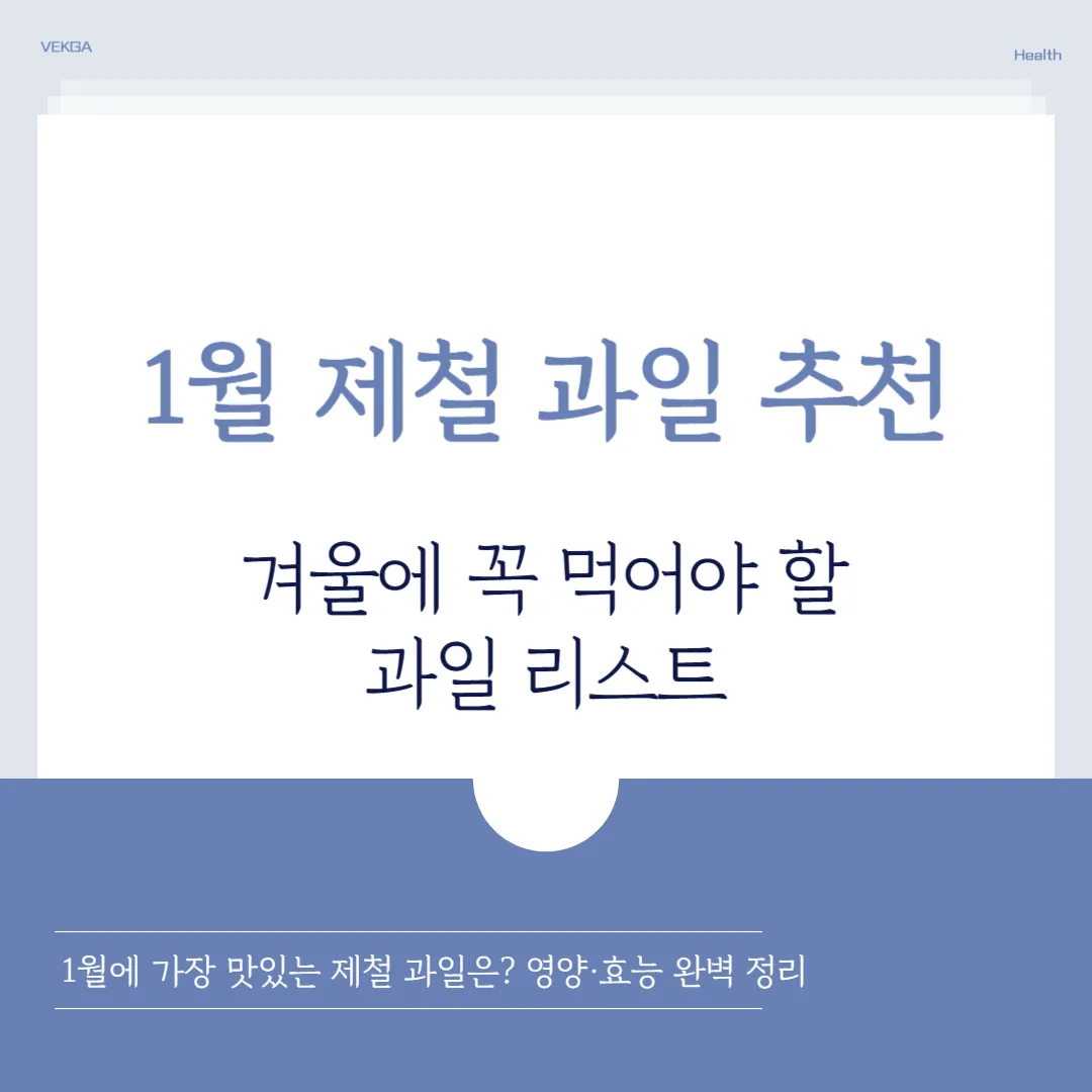 1월 제철 과일 총정리｜겨울에 꼭 먹어야 할 과일 가이드