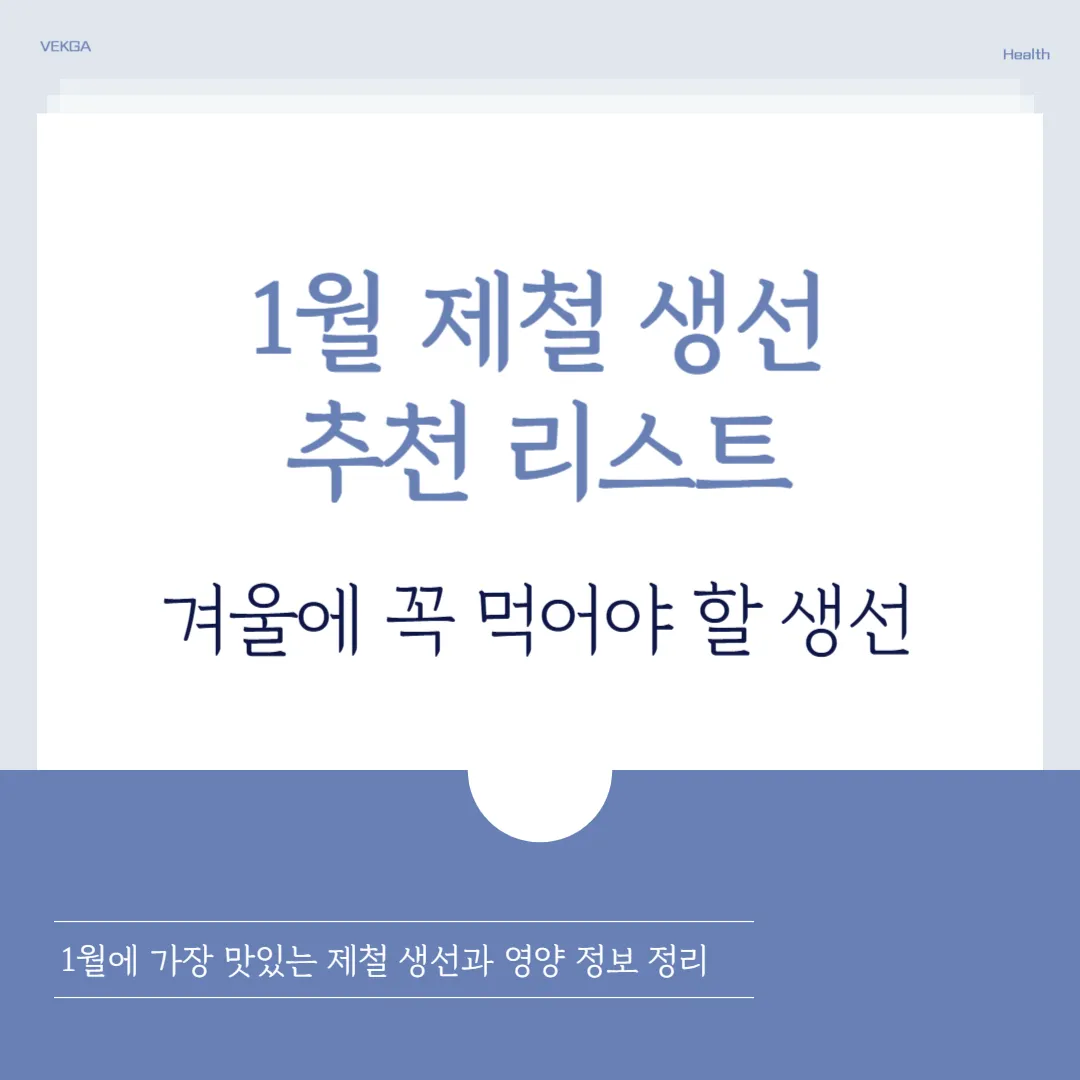 1월 제철 생선 총정리 | 겨울에 가장 맛있는 생선 가이드
